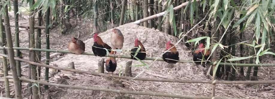 Probinson Terang Cover Image