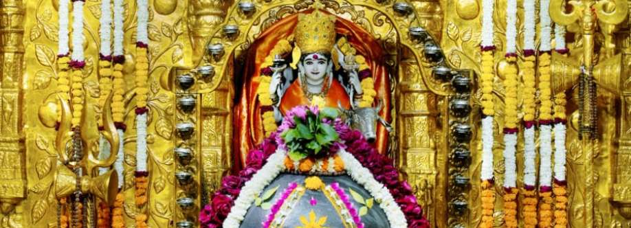 Test Demo Cover Image